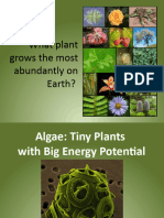 Ucd 1811 Algae Biomass Presentation