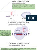 Présentation1 Immunothérapie Exposé