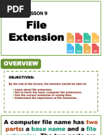 Lesson 9 File Extension