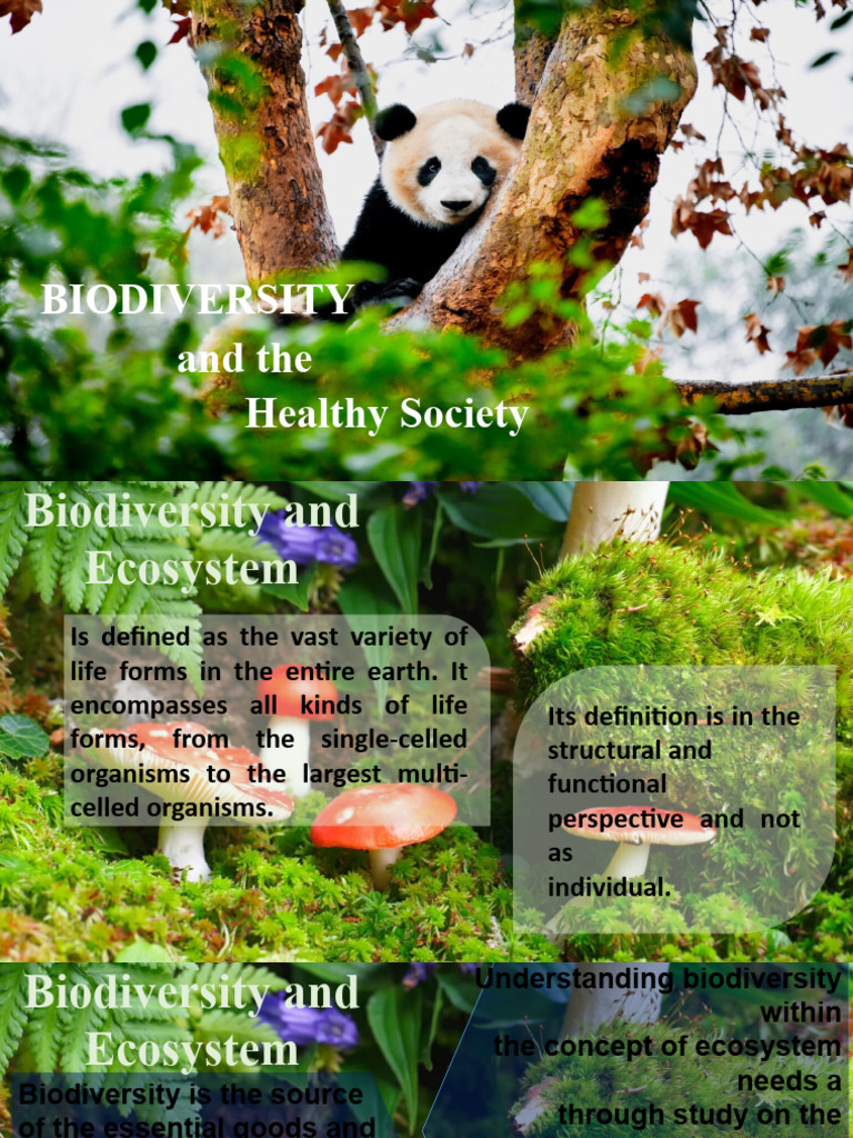 GMOs and Biodiversity Impact Analysis | PDF | Genetically Modified ...