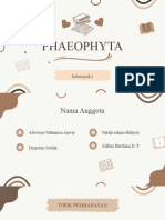 Phaeophyta - Kelompok 5 - OFF D