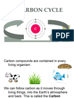 The Carbon Cycle