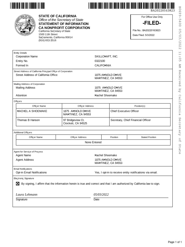 California Annual Statement Of Information