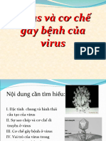 Virus Va Co Che Gay Benh Cua Virus