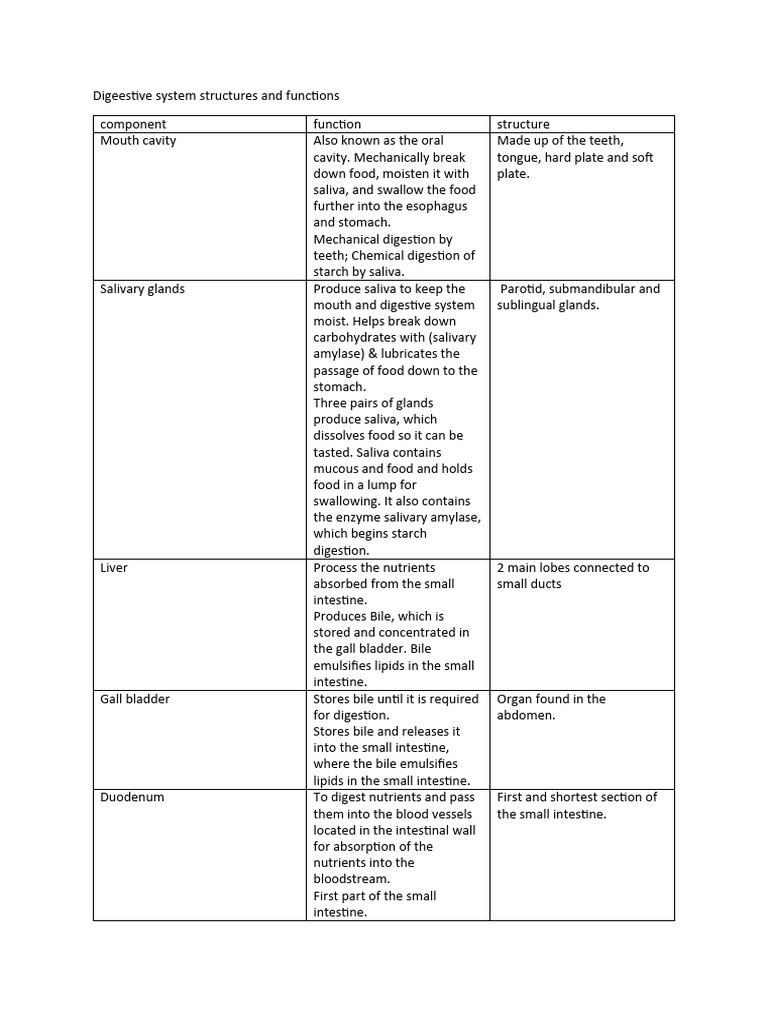 Digestive System: Structures & Functions | PDF | Digestion ...