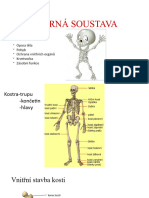 Operna Soustava