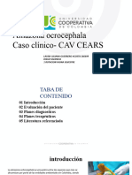 Caso Clinico Laura - Diego Lora Frente Amarilla Fauna