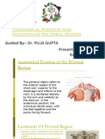 Pectoral Region Identification and Insertion Points