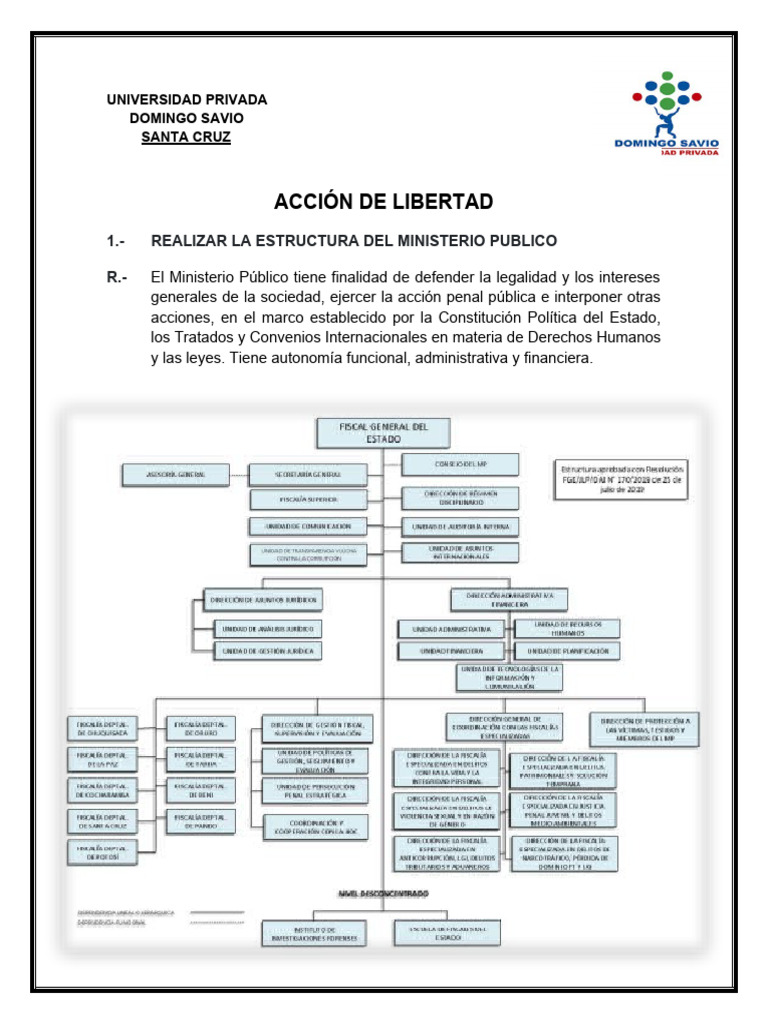 Accion de Libertad | PDF