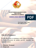 04 - Semiologia Obstetrica Aula 4º Ano 2019