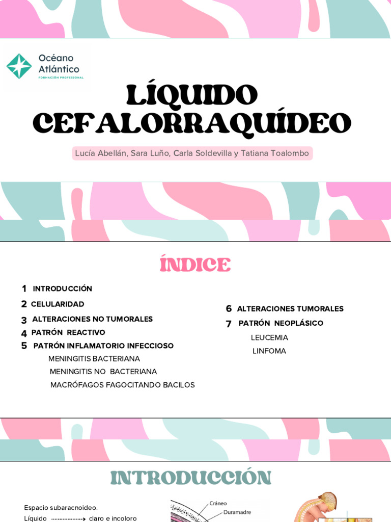 Liquido Cefalorraquideo | PDF