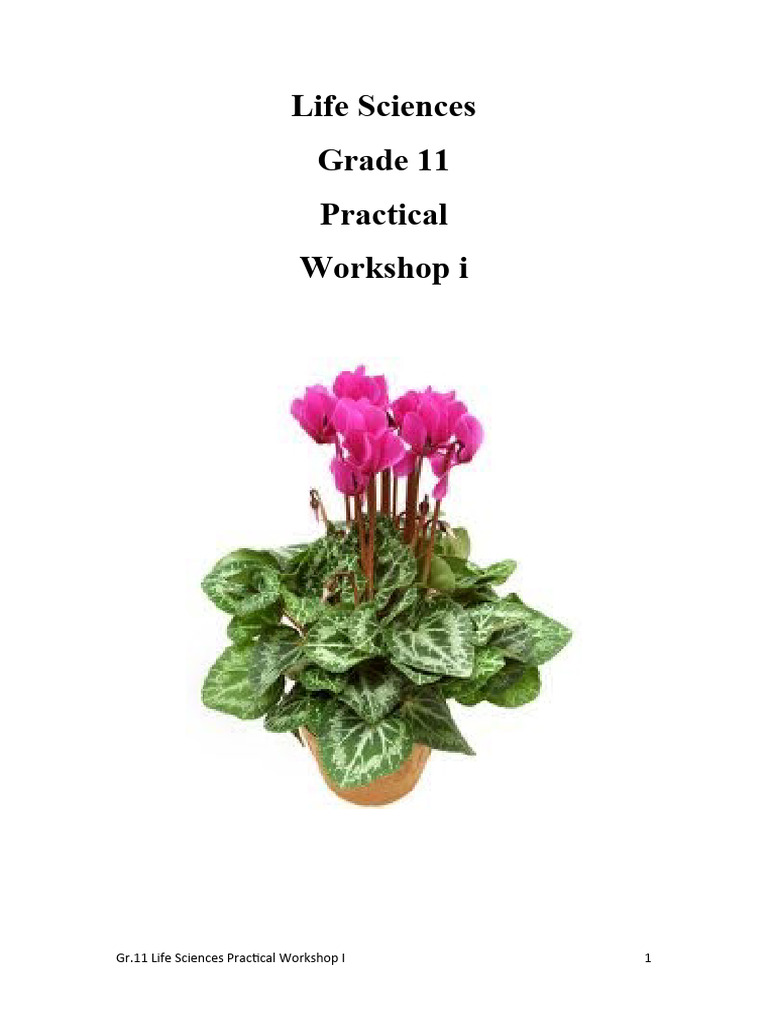 Grade 11 Life Sciences Practical Workshop | PDF | Fruit | Flowers