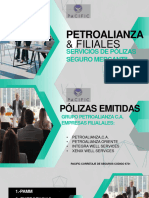 Petroalianza Mercantil