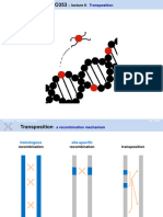 BIO353 Lecture8 (Transposition) SHF 2021