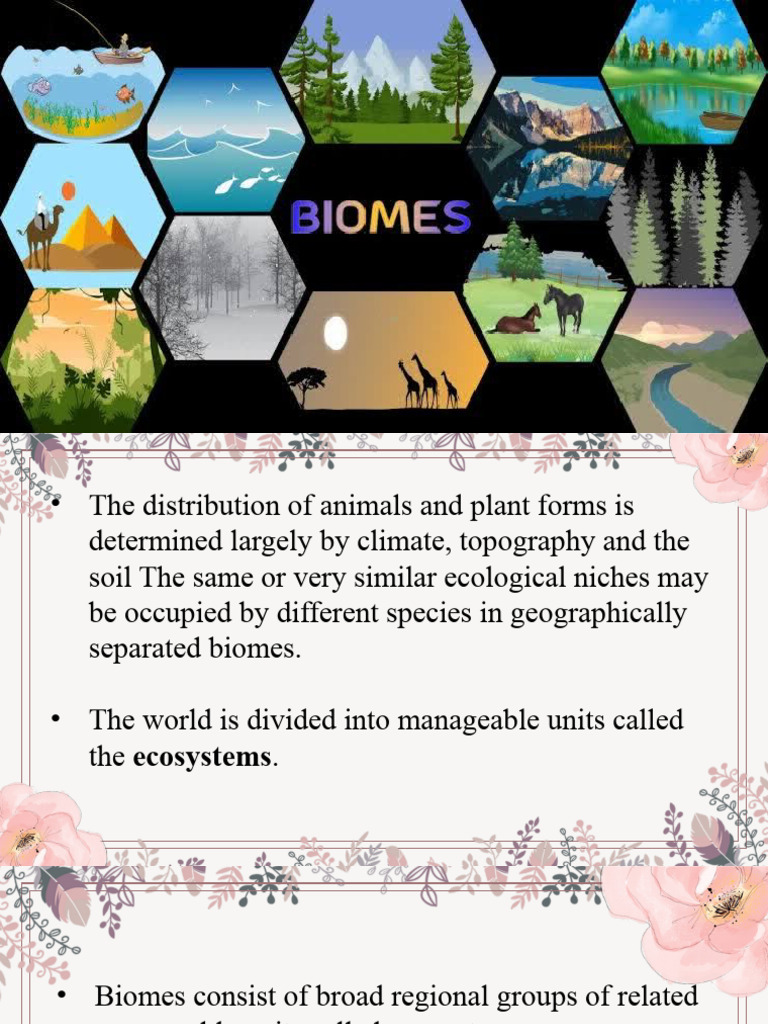 Overview of Global Biomes and Ecosystems | PDF | Ecosystem | Forests