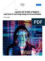 USA Understanding AI Bill of Rights USA