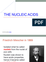 02 The Nucleic Acids