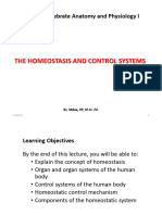 Bio 211 - Lecture - Homeostasis