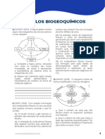 6 - Exercícios Aprofundados Ciclos Biogeoquímicos - 240125 - 164403