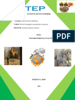 Trabajo Incendio Forestal 2024