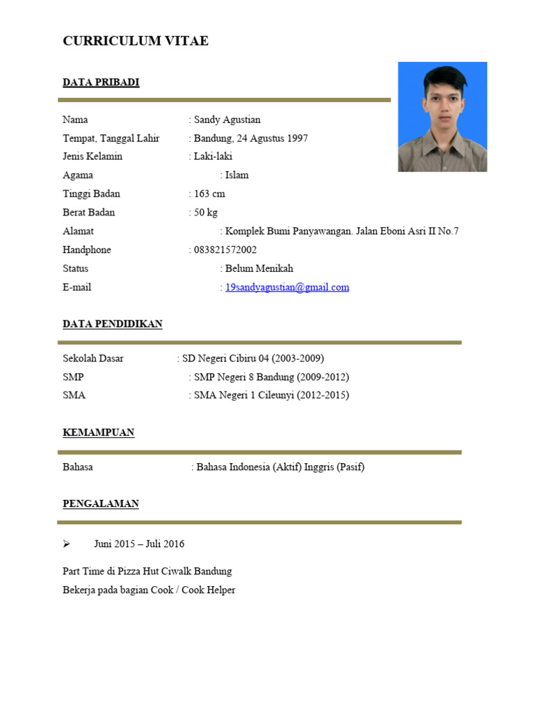 CV SANDY Baru | PDF