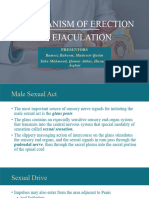 Mechanism of Erection & Ejaculation
