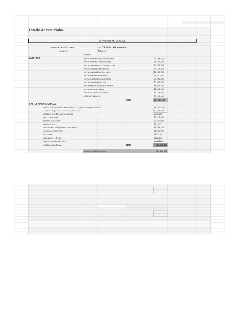 sistema-erp-estado-de-resultado-pdf-ingresos-estado-de-resultados