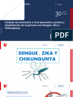 Sesion 13. Zika, Chikunguya
