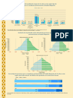 Información Pueblo Mapuche