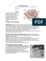 PATRONES PULMONARES - Diagnostico Por Imágenes