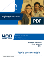 2024-1 Seminario Angiologia de Cara