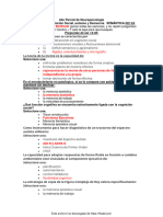 Parcial Neuropsicologia Solución