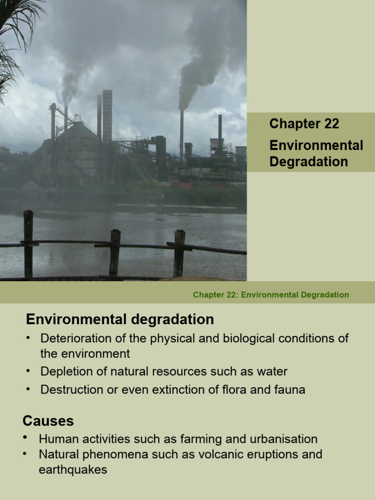 Understanding Environmental Degradation | PDF | Climate Change | Coral Reef