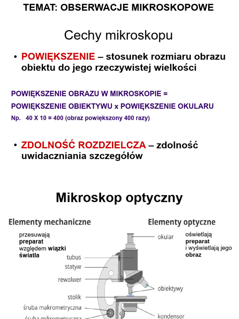 Dlaczego Obserwacje Mikroskopowe Zaczynamy Od Najmniejszego Powiekszenia