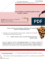 O Impacto Das Mudanças Climáticas Na Indústria Global Do Vinho: Desafios e Soluções