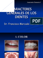 Caracteres Generales de Los Dientes