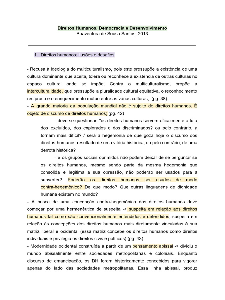 Resumo Livro - Direitos Humanos, Democracia e Desenvolvimento ...