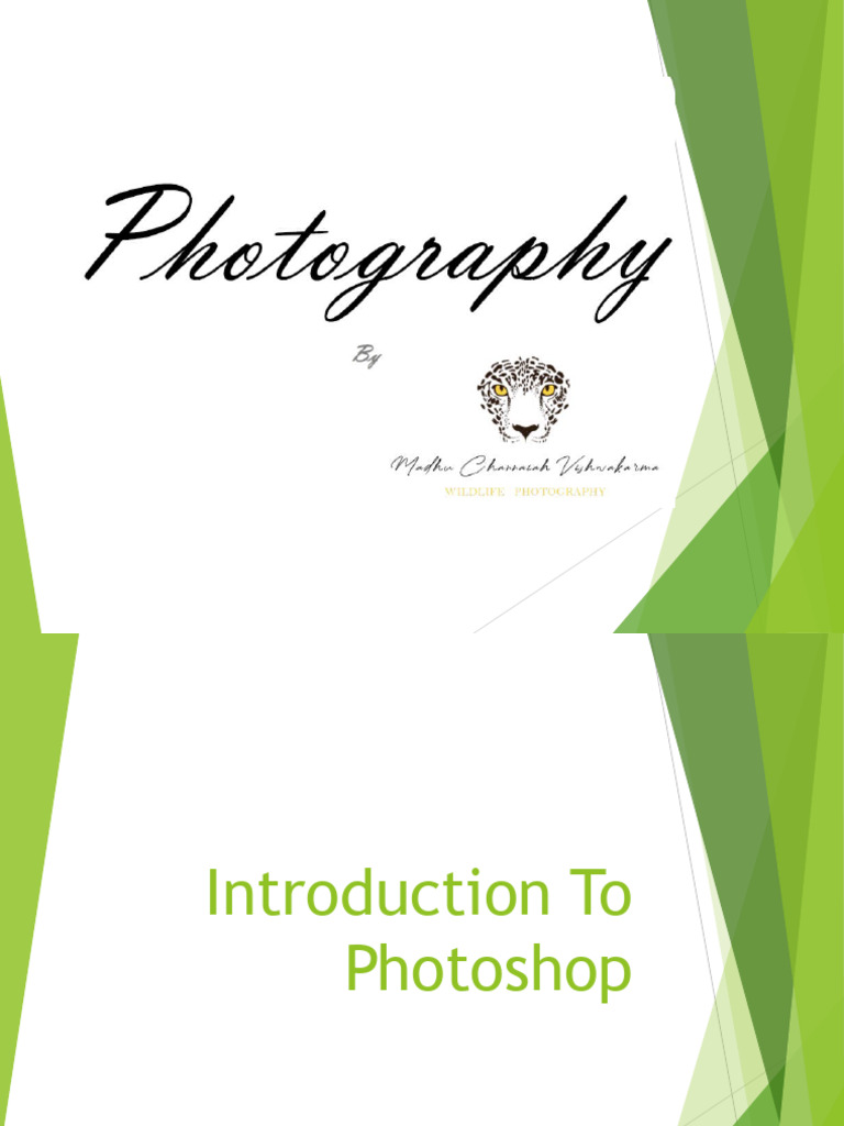 Introduction to Photoshop Basics | PDF | Menu (Computing) | Adobe Photoshop