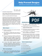 Help Prevent Dengue (English)