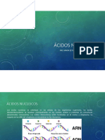 Ácidos Nucleicos PDF