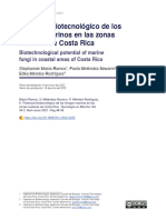 Potencial Biotecnológico de Los Hongos Marinos en Las Zonas Costeras de Costa Rica