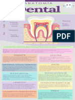 Anatomía Dental