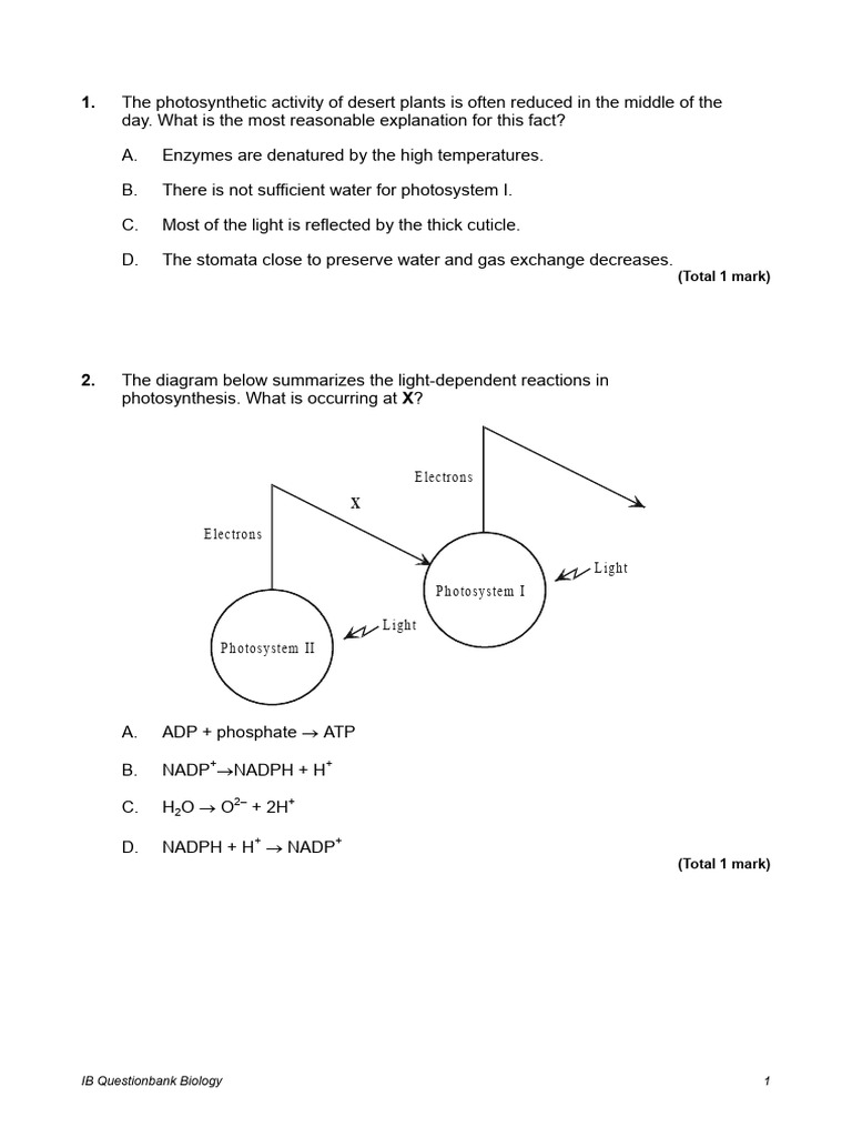 Photosynthesis visual data 2