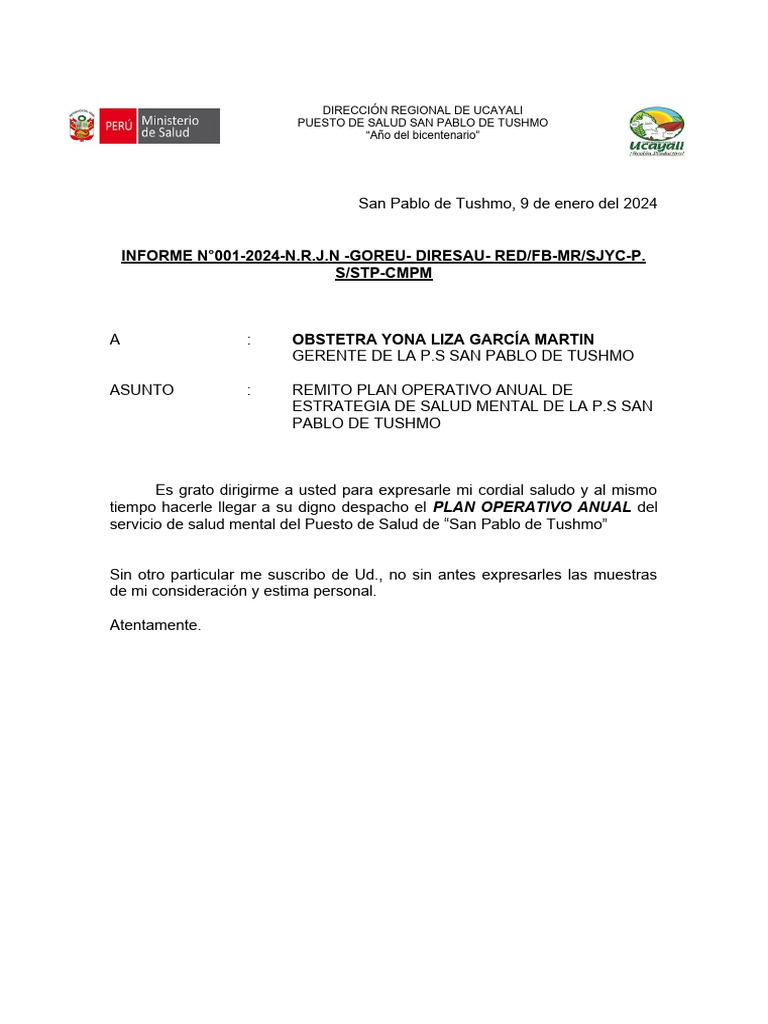 Plan Anual de Salud Mental 2024 | PDF | Salud mental | Violencia