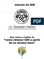 Proceso de Destilacion de GIN