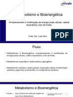 Aula 2 Fisiologia Metabolismo e Bioenergética Krebs