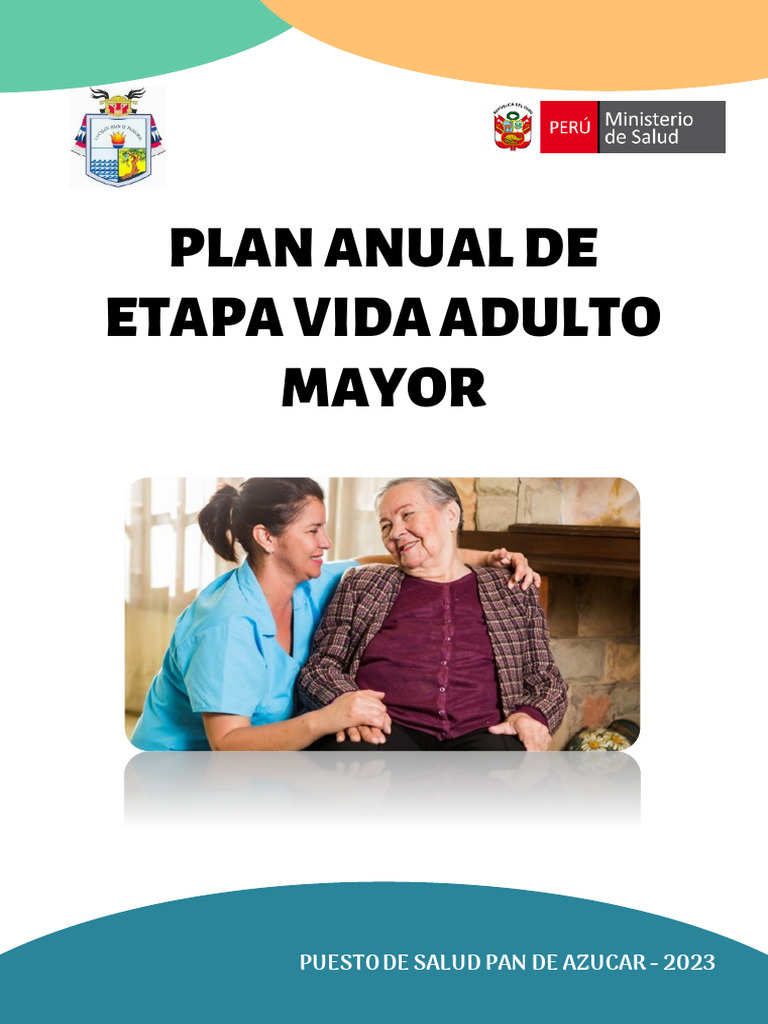 Plan Anual Salud Adulto Mayor 2023 | PDF | Adultos | Vejez