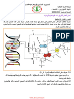 Dzexams 2as Sciences Naturelles 552511