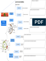 Cuadro Resumen para La Célula Eucariota