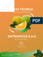 Ficha Tecnica Naranja Sweet Orange Comprimido